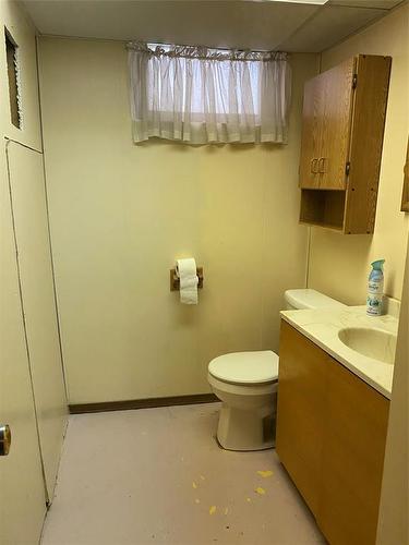 142 Mound Avenue, Pilot Mound, MB - Indoor Photo Showing Bathroom