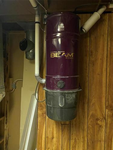 142 Mound Avenue, Pilot Mound, MB - Indoor Photo Showing Basement