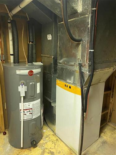 142 Mound Avenue, Pilot Mound, MB - Indoor Photo Showing Basement