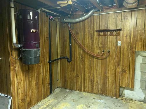 142 Mound Avenue, Pilot Mound, MB - Indoor Photo Showing Basement
