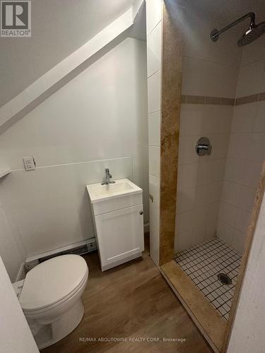 66 Wellington Street S, Hamilton, ON - Indoor Photo Showing Bathroom