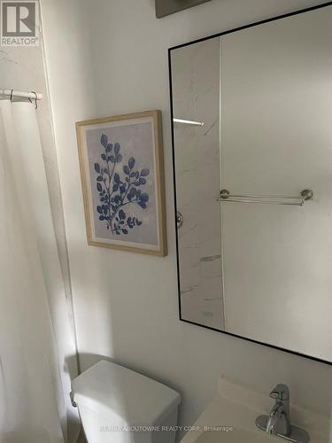 66 Wellington Street S, Hamilton, ON - Indoor Photo Showing Bathroom