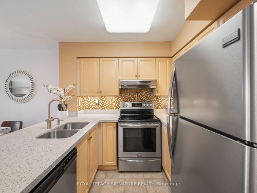 502-9 Northern Hts Drive, Richmond Hill, ON - Indoor Photo Showing Kitchen With Double Sink With Upgraded Kitchen