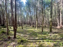 1840 Seymour Rd Gabriola Island, BC V0R 1X6