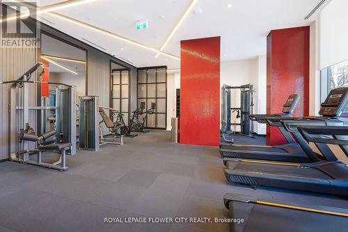 907 - 212 King William Street S, Hamilton, ON - Indoor Photo Showing Gym Room