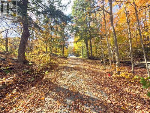 6 Springhill Road, Mckellar, ON - Outdoor With View