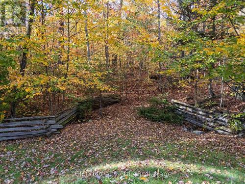 6 Springhill Road, Mckellar, ON - Outdoor With View