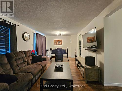 458 Misty Crescent, Kitchener, ON - Indoor Photo Showing Living Room