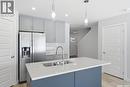 262 Kostiuk Crescent, Saskatoon, SK  - Indoor Photo Showing Kitchen With Double Sink With Upgraded Kitchen 