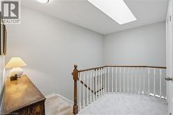 Stairs with carpet and a skylight - 