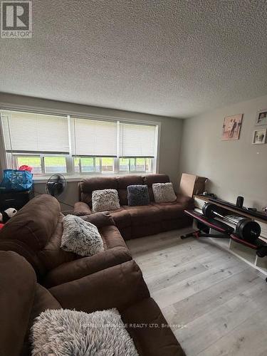 9 Ellen Street, Mississauga, ON - Indoor Photo Showing Living Room