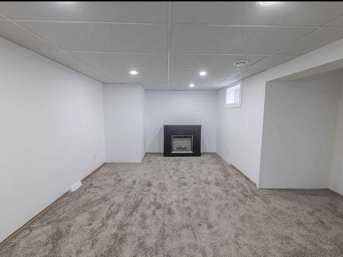 358 Dewe Ave, Thunder Bay, ON - Indoor Photo Showing Basement