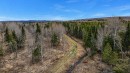 Vue d'ensemble - Rg St-Joseph, Sainte-Aurélie, QC 