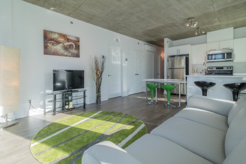 Overall view - 716-190 Rue Murray, Montréal (Le Sud-Ouest), QC - Indoor Photo Showing Living Room