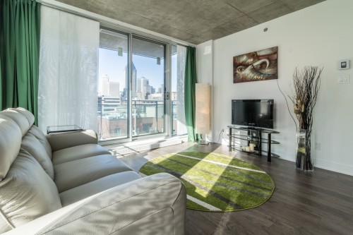 Living Room - 716-190 Rue Murray, Montréal (Le Sud-Ouest), QC - Indoor Photo Showing Living Room