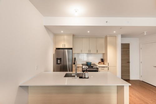 Kitchen - 419B-1400 Rue Ottawa, Montréal (Le Sud-Ouest), QC - Indoor Photo Showing Kitchen With Upgraded Kitchen