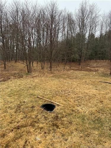 69 Boyd Rd, Rollingdam, NB 