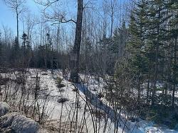 Greenfield Road Mosherville, NS B0N 2G0