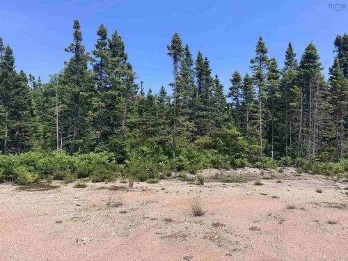 Cabot Trail, Ingonish, NS 