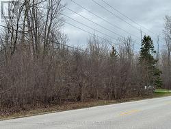 V/L- PTLT 4 HELENA STREET Fort Erie (Lakeshore), ON L2A 4K3