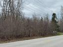 Helena Lot---Street View - V/L- Ptlt 4 Helena Street, Fort Erie (Lakeshore), ON 