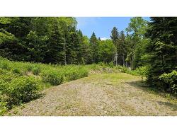 15 Foley LANE  Summerville, NB E5S 1B7