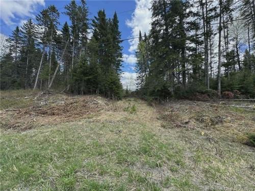 - Route 205, Saint-François-De-Madawaska, NB 