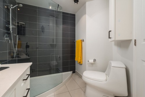 Salle de bains - 607-366 Rue Mayor, Montréal (Ville-Marie), QC - Indoor Photo Showing Bathroom