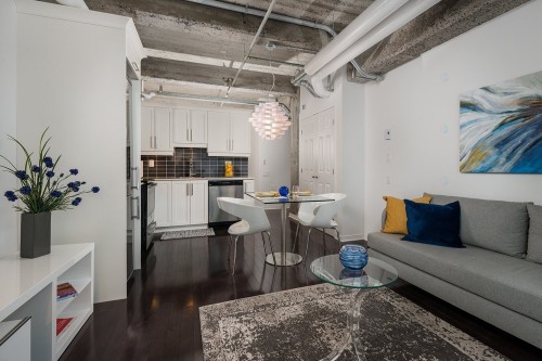 Salon - 607-366 Rue Mayor, Montréal (Ville-Marie), QC - Indoor Photo Showing Living Room