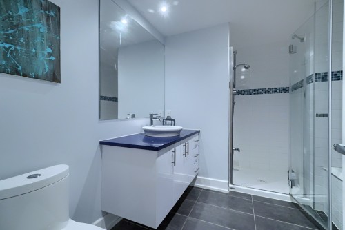 Salle de bains - 313-375 Boul. Décarie, Montréal (Saint-Laurent), QC - Indoor Photo Showing Bathroom