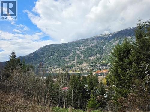 The View - 804 Eighth Street, Nelson, BC - Outdoor With View
