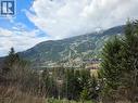 The View - 804 Eighth Street, Nelson, BC  - Outdoor With View 