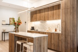 225-1114 Rue St-Antoine O.  Montréal (Ville-Marie), QC H3C 0J3