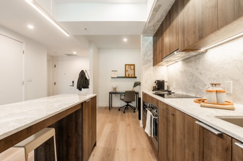 Kitchen - 225-1114 Rue St-Antoine O., Montréal (Ville-Marie), QC - Indoor Photo Showing Kitchen With Upgraded Kitchen