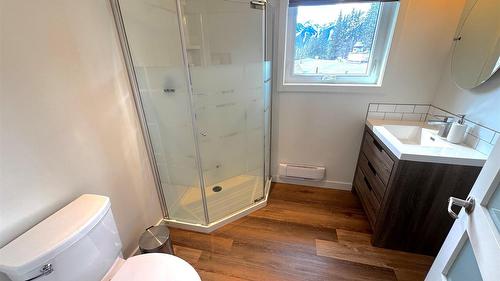 18 Park Avenue, Fernie, BC - Indoor Photo Showing Bathroom