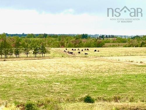 1143 Upper River John Road, Middleton, NS 