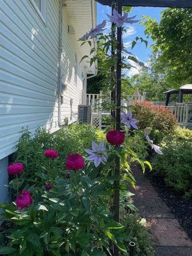 6 Shell Court, Charlottetown, PE 