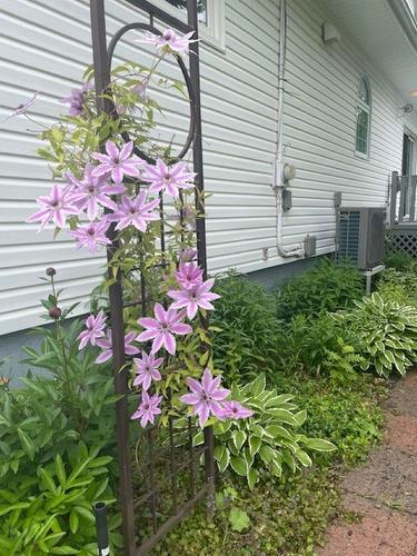 6 Shell Court, Charlottetown, PE 