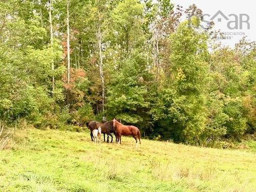 1143 Upper River John Road, Middleton, NS 