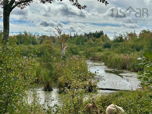 1143 Upper River John Road, Middleton, NS 