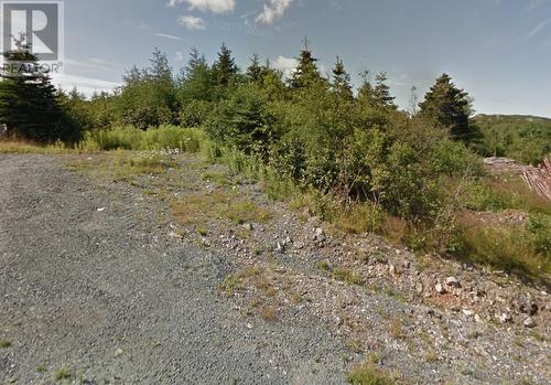12-16 Mountain Road, Brigus, NL 