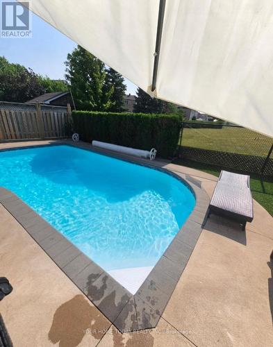 83 Atwood Avenue, Halton Hills, ON - Outdoor With In Ground Pool