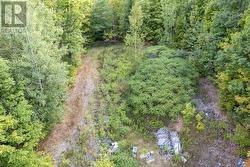 23 RUSAW ROAD North Kawartha, ON K0L 1A0