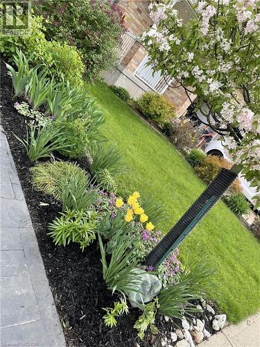 View of green lawn - 126 Snowdrop Crescent, Kitchener, ON - Outdoor