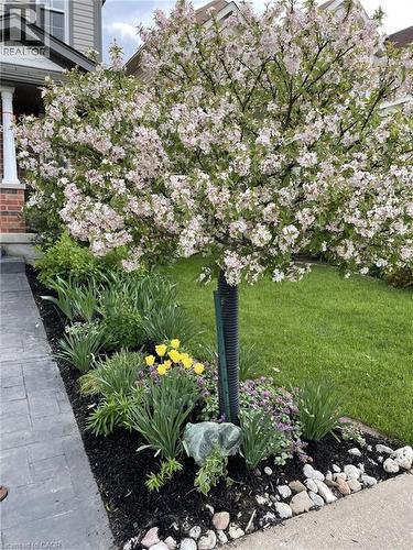 Exterior view - 126 Snowdrop Crescent, Kitchener, ON - Outdoor