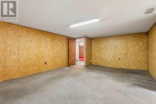 20 Plainsman Road, Mississauga, ON - Indoor Photo Showing Basement
