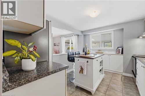160 Carter Crescent, Cambridge, ON - Indoor Photo Showing Kitchen