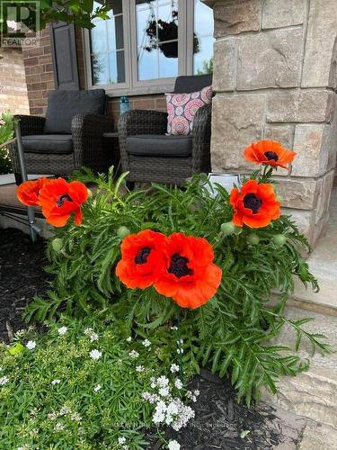 67 Peach Tree Boulevard, St. Thomas, ON - Outdoor With Deck Patio Veranda