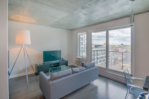 Living Room - 716-235 Rue Peel, Montréal (Le Sud-Ouest), QC - Indoor Photo Showing Living Room
