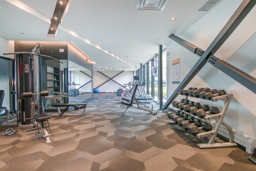 Exercise Room - 716-235 Rue Peel, Montréal (Le Sud-Ouest), QC - Indoor